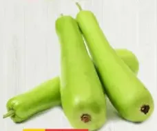 Bottle Gourd (Loki)