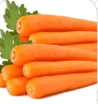 Carrot Australia