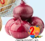 Onion Egypt