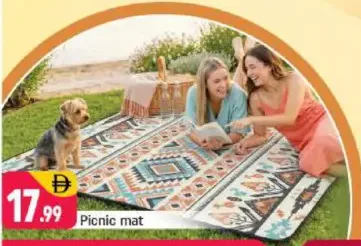 Picnic mat