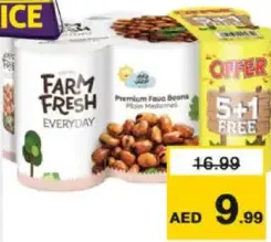 Farm Fresh Foul Medammas