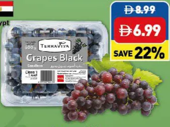 Terraviva Grapes Black Seedless
