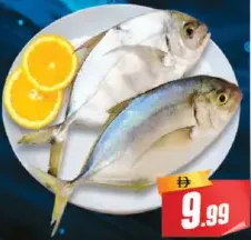 Jesh (Para) Fish