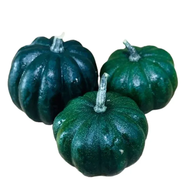 Carrefour Black Cat Pumpkin