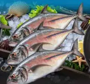 Jespara