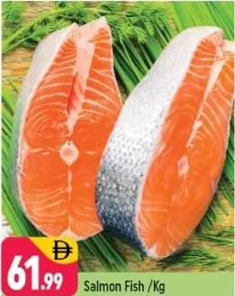 Salmon Fish