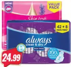 Always Skin Love / Large Plus Purple