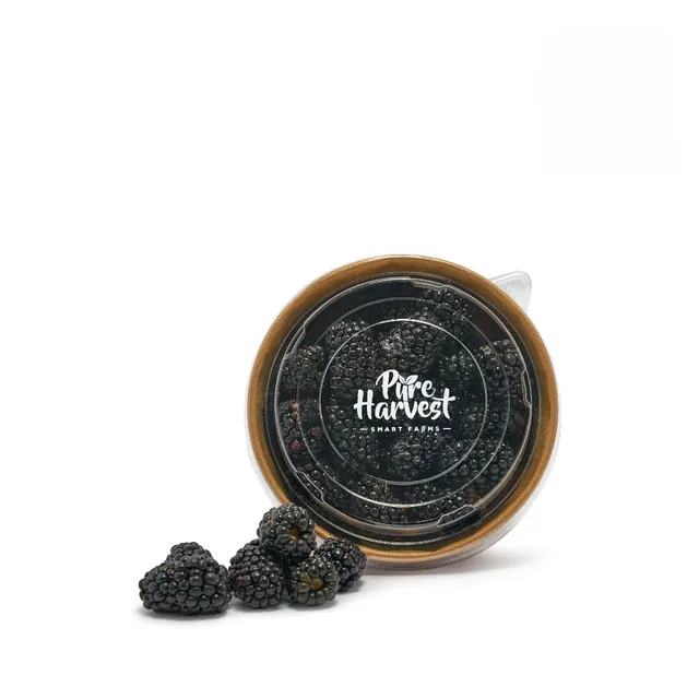 Pure Harvest Blackberries