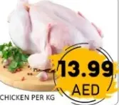 Fresh Chicken