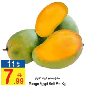 مانجو مصر كيت