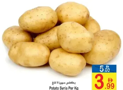 Potato Syria