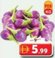 Eggplant Gujarat