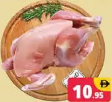 Leghorn Chicken