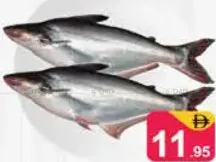 Pangash Fresh