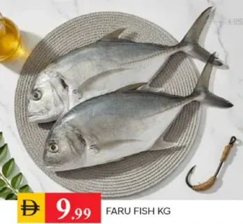 Faru Fish