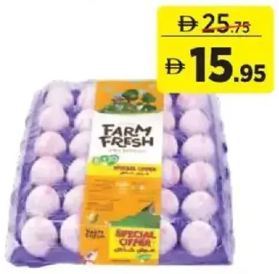 Farm Fresh White Eggs Medium