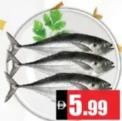 Fresh Fish Vangada