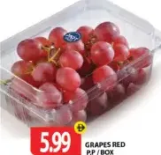 Grapes Red Pp