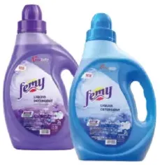 Femy Gel Liquid Detergent Assorted