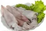 سمك حبار طازج