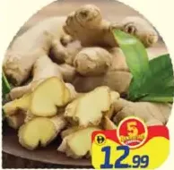 زنجبيل (الهند)