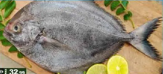 زبيدي أسود طازج