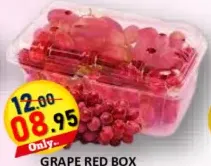 Grape Red
