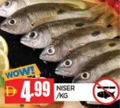 Niser
