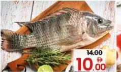 Fresh Tilapia