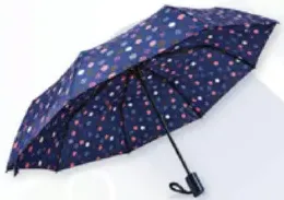 3 Fold Umbrella Print