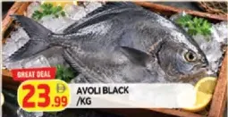 Avoli Black
