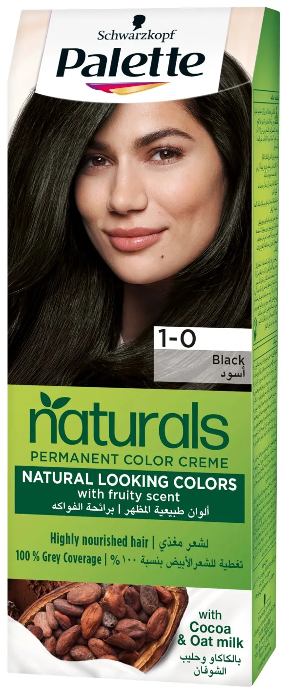 Palette Permenant Color Cream 1-0 Black