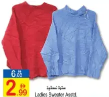 Ladies Sweater Assorted