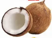 جوز الهند