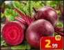 شمندر