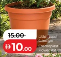 Cosmoplast Flower Pot T/C