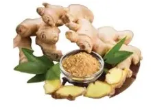 Ginger