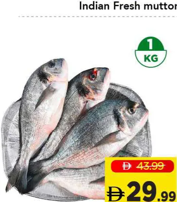 Seabream Big