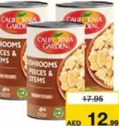 C.G Mushroom Pieces&Stems