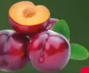 Plums