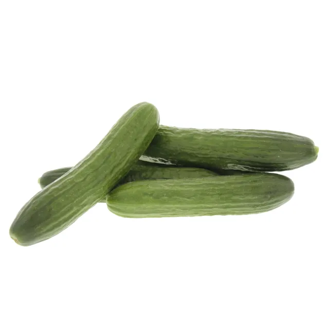 Fresh Organic Cucumber
