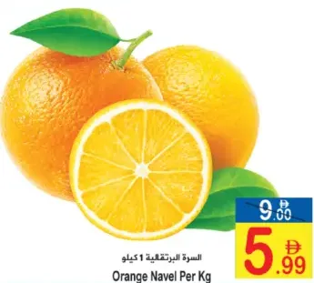 برتقال أبو صرة فاخر