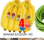 موز إكوادور