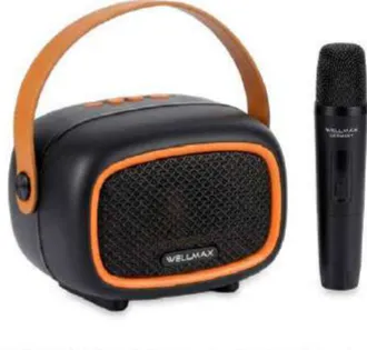 Wmax Professional Wireless Speaker SKR96