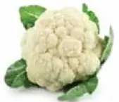 زهرة