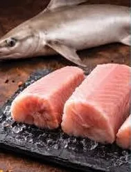 Shark