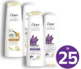 Dove Shampoo + Conditioner Lavender / Nutri Oil