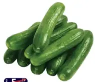 Cucumber