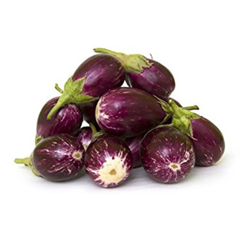 باذنجان صغير عضوي