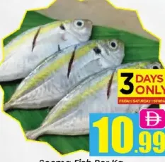 Seema Fish